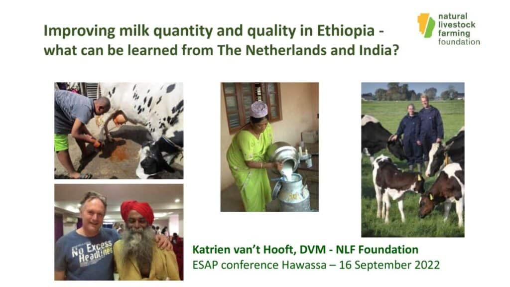 Clean milk production: what can be learned from the Netherlands and ...